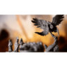 Destinies - Lucky Duck Games