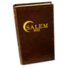 Dark Cities - Salem 1692 - Lucky Duck Games