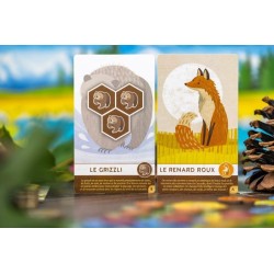 Cascadia Junior – Jeu de tuiles éducatif pour enfants
