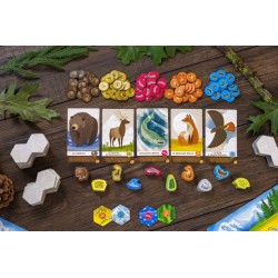 Cascadia Junior – Jeu de tuiles éducatif pour enfants