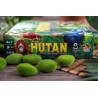 Hutan - jeu de société - Lucky Duck Games Hutan - jeu de société - Lucky Duck Games