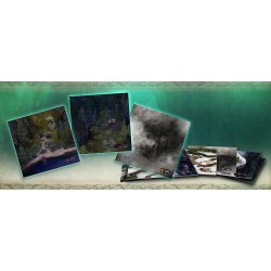 Destinies Witchwood: All That Glitters Expansion