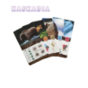 Kaskadia - minidodatek - Lucky Duck Games